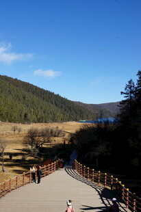 普达措森林公园