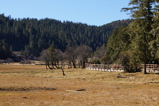 普达措森林公园