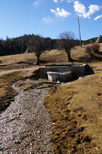 普达措森林公园