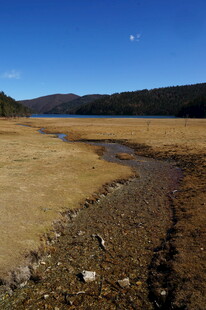 普达措森林公园