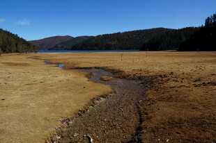 普达措森林公园