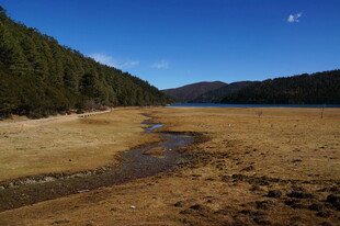 普达措森林公园