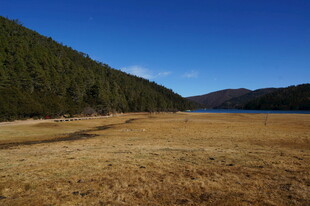 普达措森林公园