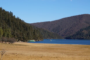 普达措森林公园