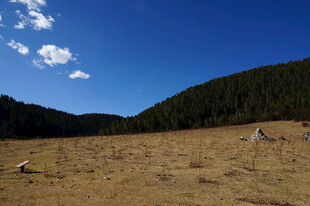 普达措森林公园