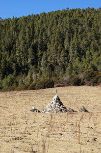 普达措森林公园