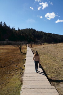 普达措森林公园