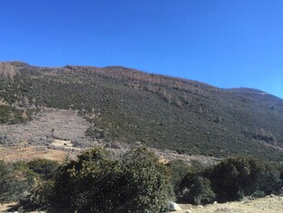 普达措森林公园