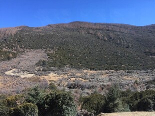 普达措森林公园山间景色