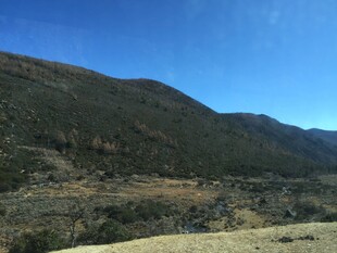 普达措国家森林公园