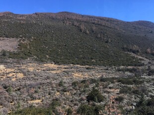 普达措国家森林公园