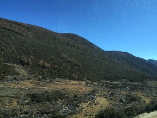 普达措国家森林公园