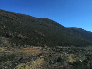 普达措国家森林公园