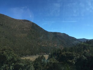 普达措国家森林公园