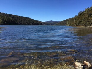 普达措森林公园