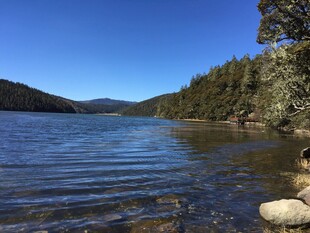 普达措森林公园