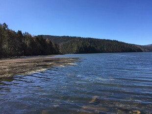 普达措森林公园