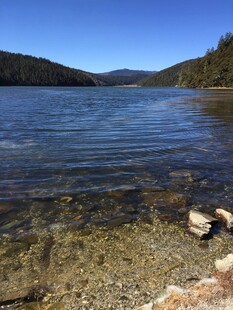 普达措森林公园