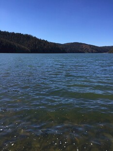 普达措森林公园