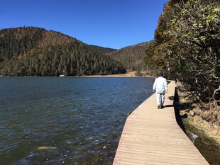 普达措森林公园