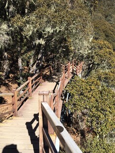 普达措森林公园