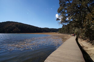 普达措森林公园