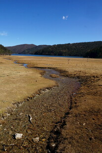 普达措森林公园