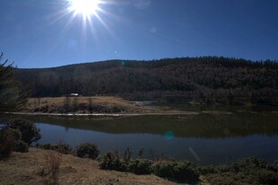 普达措森林公园