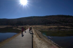 普达措森林公园