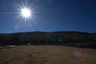 普达措森林公园