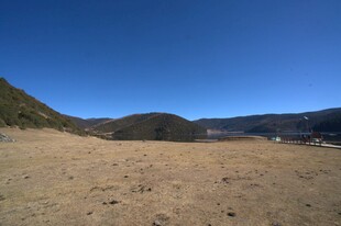 普达措森林公园