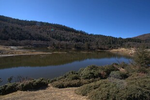 普达措森林公园