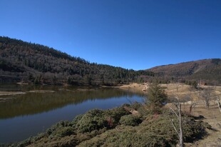 普达措森林公园