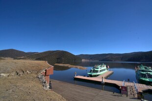 普达措森林公园