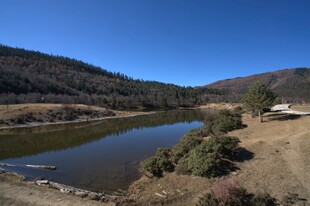 普达措森林公园