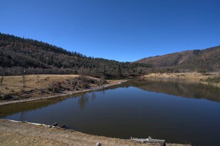 普达措森林公园