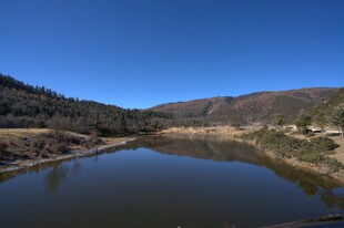 普达措森林公园