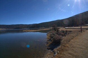 普达措森林公园