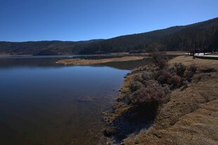 普达措森林公园