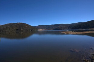普达措森林公园