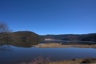 普达措森林公园