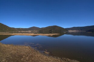 普达措森林公园