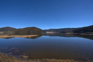 普达措森林公园