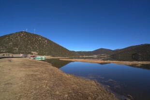 普达措森林公园