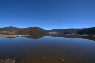 普达措森林公园