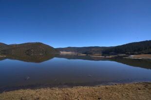 普达措森林公园