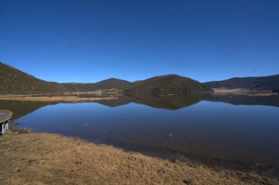 普达措森林公园