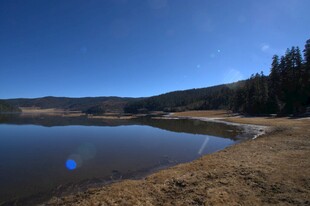 普达措森林公园