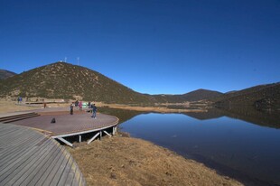 普达措森林公园