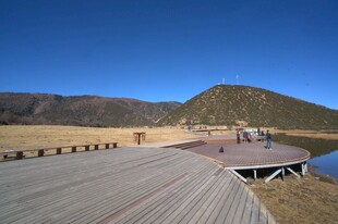 普达措森林公园